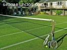 GRASS DECORATIVO RPM: #943608641