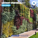 Jardin vertical ,Jardin vertical natural