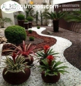 jardines interiores, fertilizante,