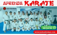 JUSHOSHINKAN – KARATE PARA NIÑOS DESDE L