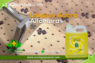 Limpiador ecológico de alfombras