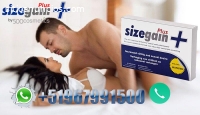 Lince | Sizegain Plus | 967991500