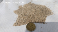 Material filtrante para agua potable