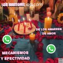 MECANISMOS Y EFECTIVIDAD DE LOS AMARRES