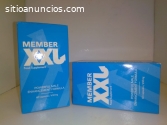 Member XXL Desarrollo