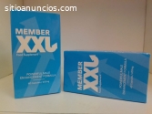 Member XXL Desarrollo