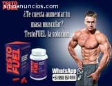 Miraflores - Testo Fuel Gana Musculos