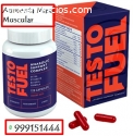 Miraflores - Testo Fuel Gana Musculos