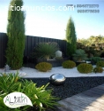 PLANTAS ORNAMENTALES, FERTILIZANTE,