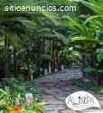 PLANTAS ORNAMENTALES, PAISAJISMO, JARDIN