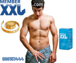 SURCO-MEMBER XXL NATURAL- 999151444