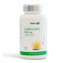 techui y cordyceps