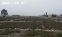 terrenos de 120m2, 90m2 en buena ubicaci