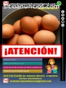 Huevos al mayor tipo A