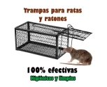 Trampas para ratas y ratones