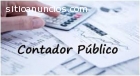 Contador publico, Contabilidad, Balance