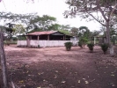 Finca en Guanarito