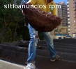 Fumigacion para Condominios en Maracaibo